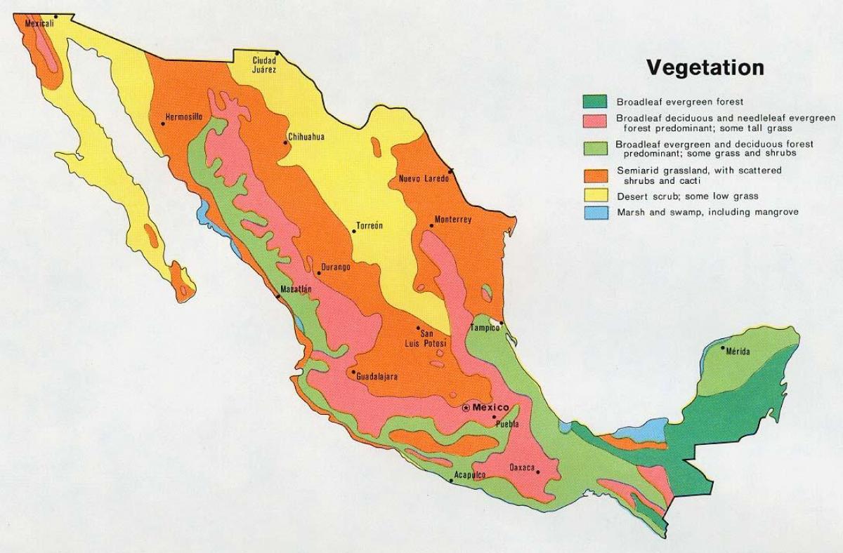 מפה של מקסיקו natual במשאבים